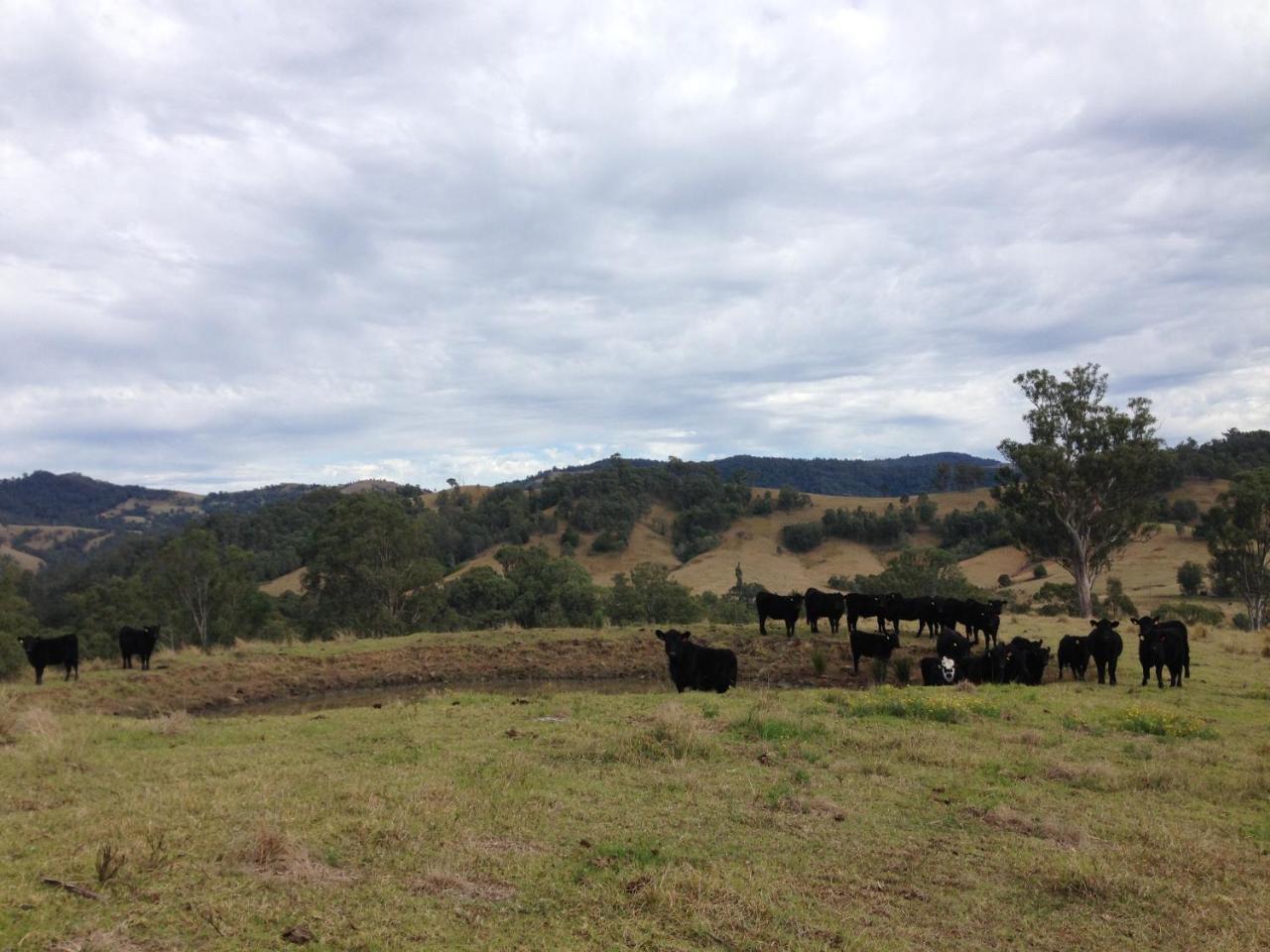 Bobby'S Country Rental Eccleston Luaran gambar